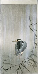 Oiseau sous la pluie, 1907